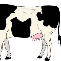 3. Nourish Young on Milk