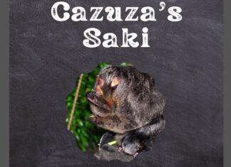 Cazuza's Saki