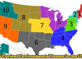 Top 15 Current Environmental Issues in the US