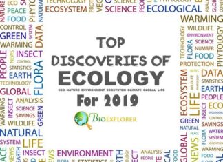 Top 10 Discoveries in Ecology 2019