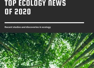 Top 10 Ecology News of 2020