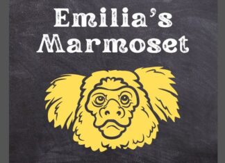 Emilia's Marmoset
