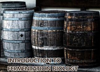 Introduction To Fermentation Biology