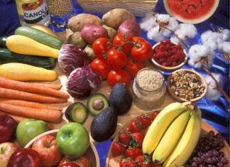 6 Major Disadvantages of Genetically Modified Foods