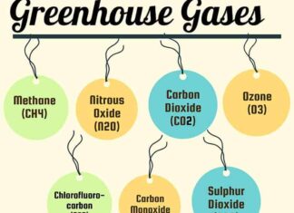 Explore Types of Greenhouse Gases As Agents Of Climate Change