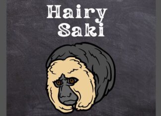 Hairy Saki