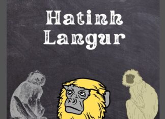 Hatinh Langur
