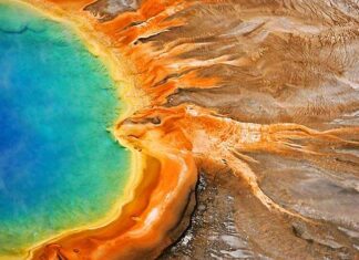 The Domain Archaea: Finding Life’s Extremists