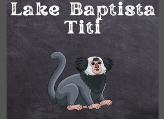 Lake Baptista Titi