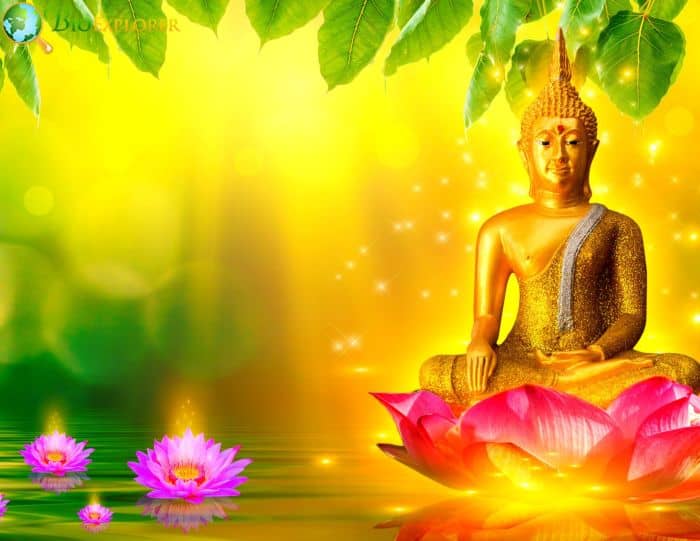 Lotus Flower Significance In Different Religions and Cultures
