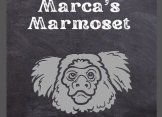 Marca's Marmoset