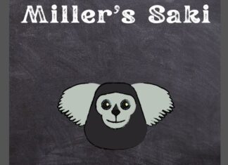 Miller’s Saki