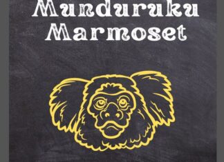 Munduruku Marmoset