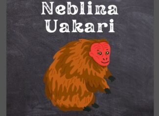 Neblina Uakari