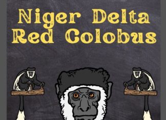 Niger Delta Red Colobus