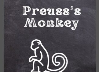 Preuss’s Monkey