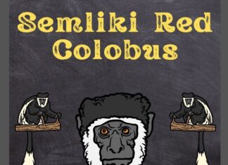 Semliki Red Colobus