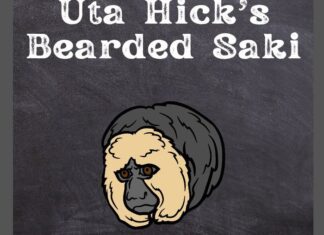 Uta Hick's Bearded Saki