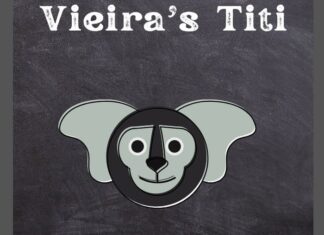 Vieira's Titi